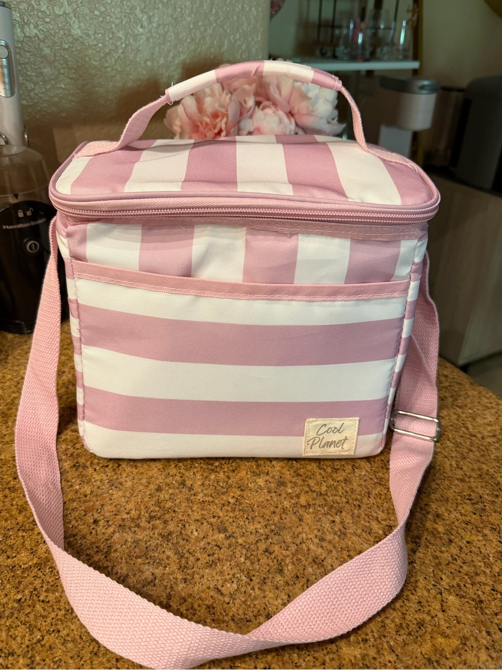 NWOT Insulated Lunch Bag